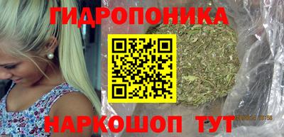 СК Донской