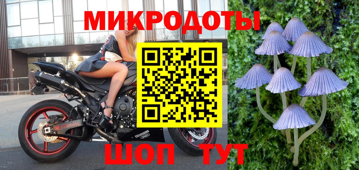 Галлюциногенные грибы MAGIC MUSHROOMS Лыткарино