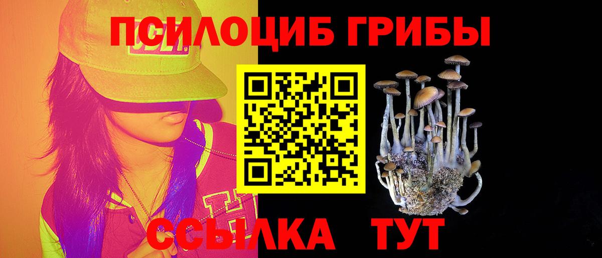 Галлюциногенные грибы Psilocybe  Вход с VPN  Галлюциногенные грибы Cubensis  Лыткарино 
